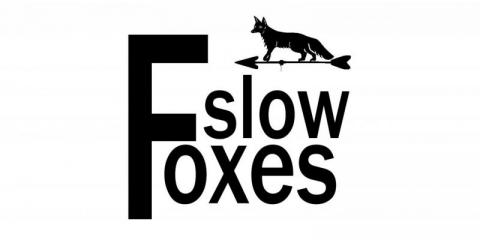 Slow Foxes zoekt bassist