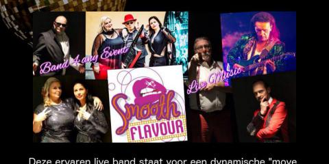 Zangeres voor Partyband