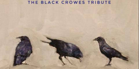 Southern Rock Gitarist voor Black Crowes tribute project