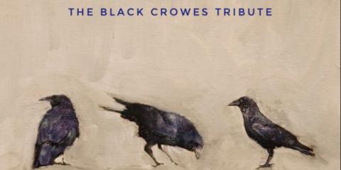Tweede gitarist voor The Black Crowes Tribute band