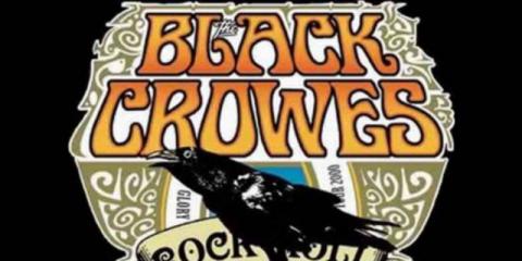 Black Crowes tribute zoekt toetsenist