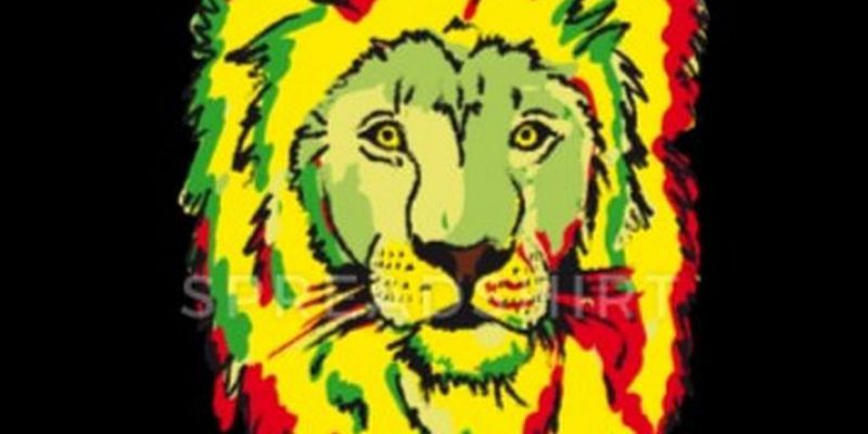 Reggaeband Amsterdam zoekt dringend gitarist