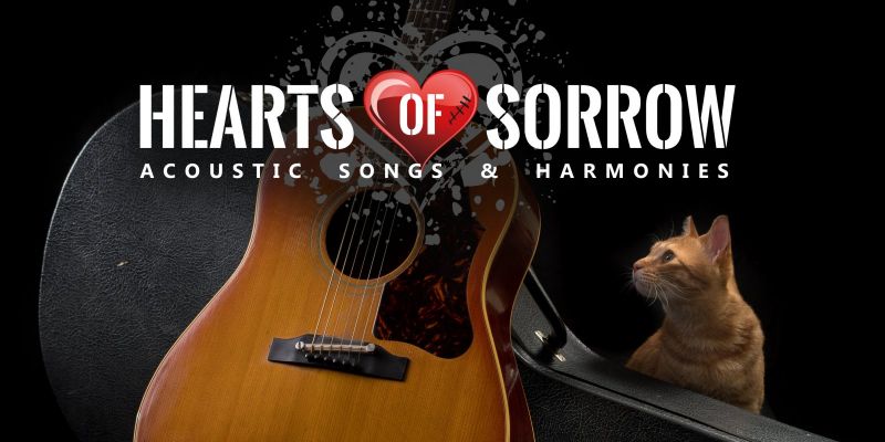 Gitarist(e)/Zanger(es) gezocht voor Acoustisch project