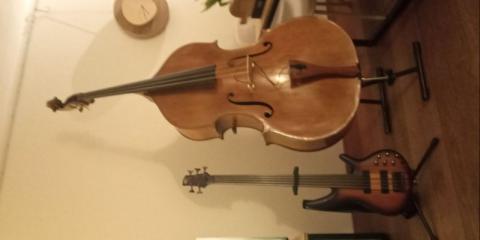 Contrabassist en basgitaar