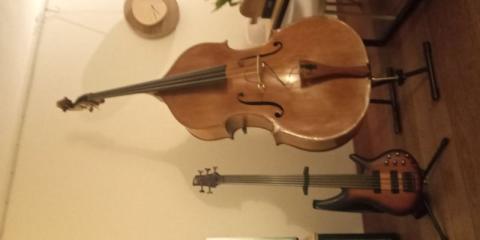Contrabassist, bassist, drummer