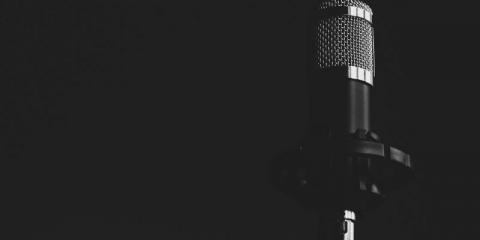 Backing vocalist(m/v)