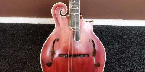 Mandolinist zoekt medemuzikanten voor Bluegrass groep