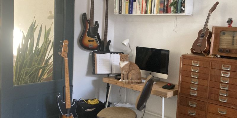 Bassist zoekt band. Of mensen om muziek mee te bedenken.