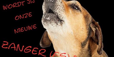 Bluesrock band zoekt zanger(es)