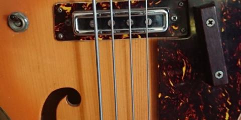 Bassist