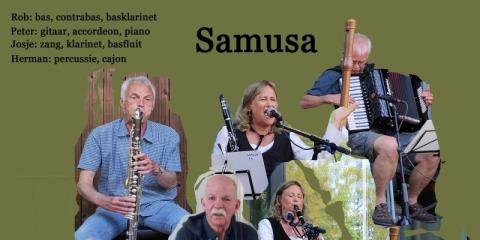 Violist gezocht