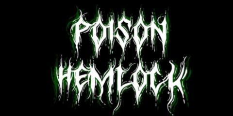 Bassist en Gitarist Gezocht!!!