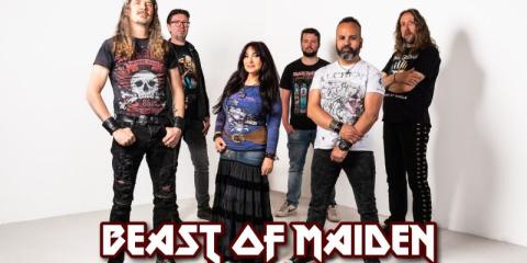 Dave Murray gezocht voor goed lopende Iron Maiden tribute band