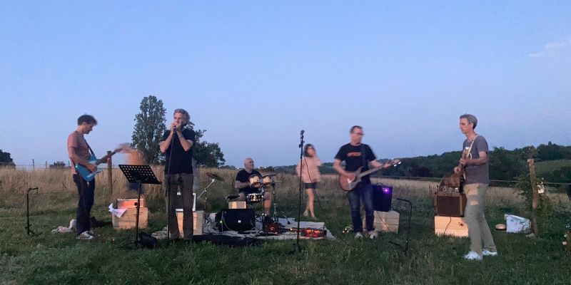 Zanger, blues harp (en gitaar en toetsen) zoekt rock, americana, blues band