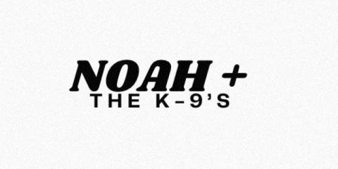 K-9s zoeken een Bassist POP/ROCK