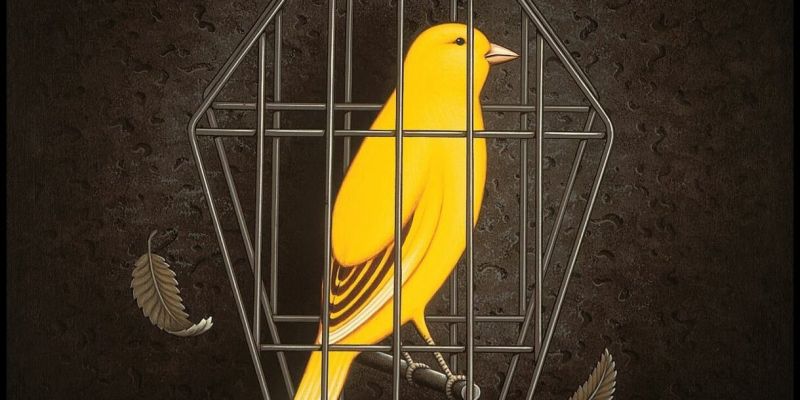 Tribute band zoekt ervaren bassist