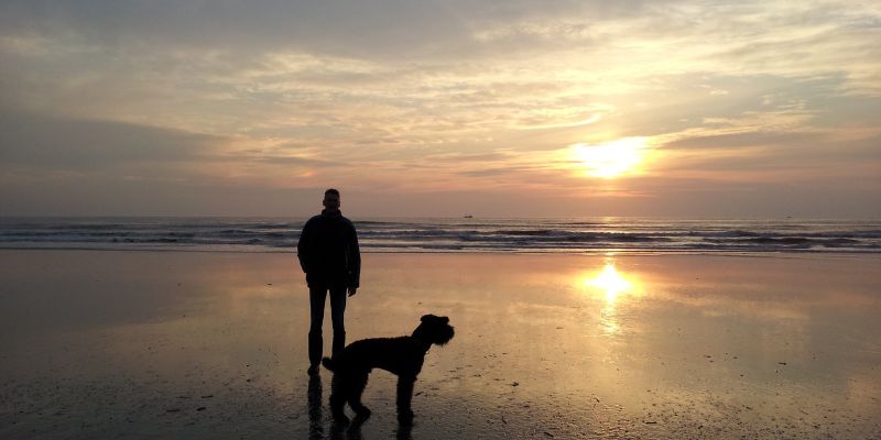 Zoek creatieve muzikanten