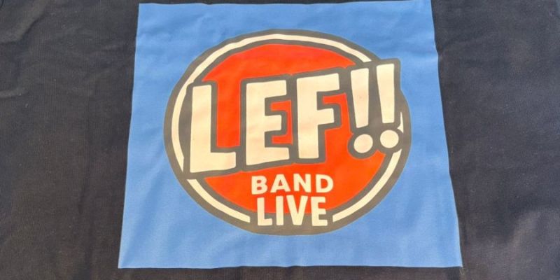 Toetsenist en backingvocals 2 zangeressen gezocht door Nederpoprock band