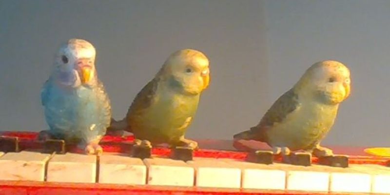 Kiki & the Cookies Seek top-level (or would-be) GenZ and Millennial Female Singer-Musicians (+ Composer ain't bad)