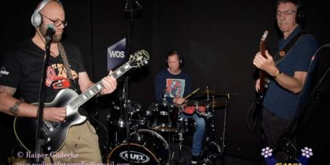 Rock & blues trio Wildcard Dukes Experience zoekt zangeres/zanger + instrument (toetsen, gitaar, mondharp,...)