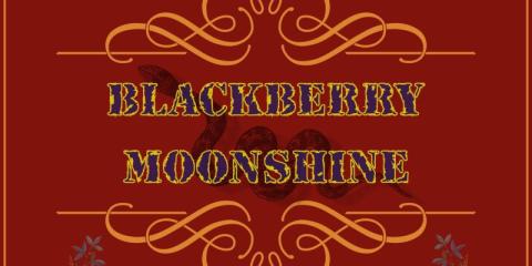 BlackBerry Moonshine zoekt bassist m/v