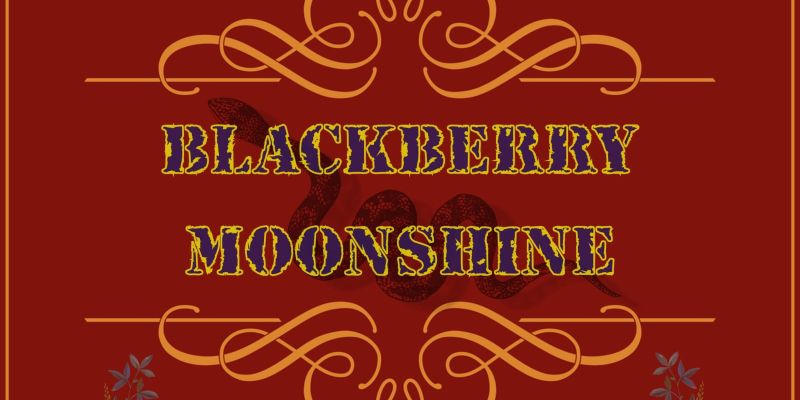 BlackBerry Moonshine zoekt bassist m/v