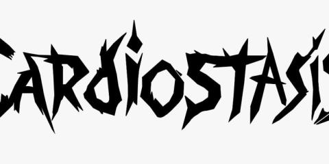 Drummer & Bassist gezocht – Alternative Metal / Metalcore (Rotterdam)