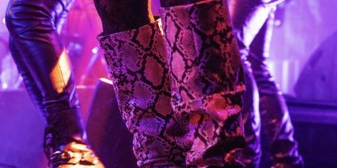 Bassist rockcoverband