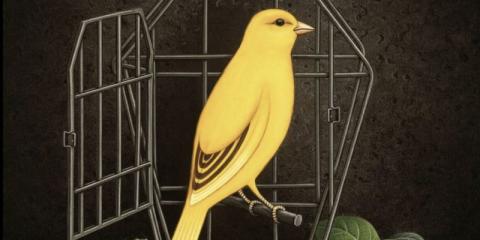 Gitarist gezocht voor Talk Talk tribute