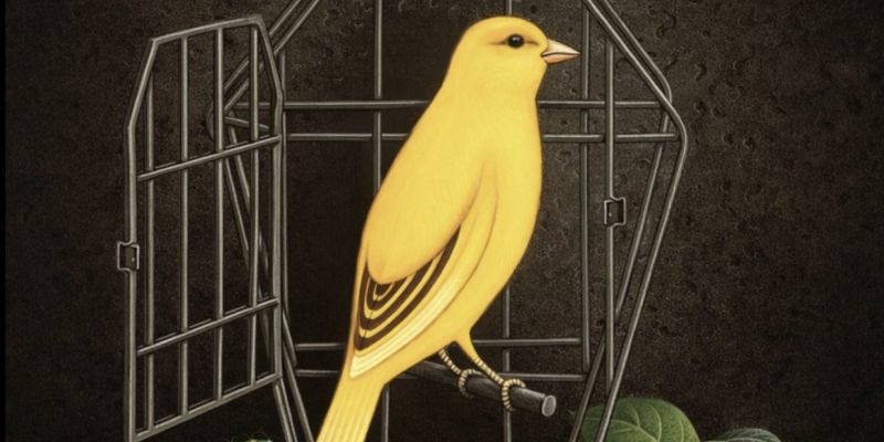 Gitarist gezocht voor Talk Talk tribute