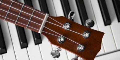 Toetsenist en bassist gezocht