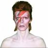 Muzikantenbank user Tribute2DavidBowie