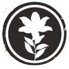 Lilywhite Band